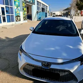 Toyota Corolla 2020