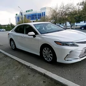 Toyota Camry 2019