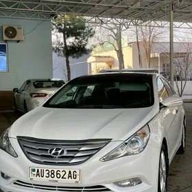 Hyundai Sonata 2010