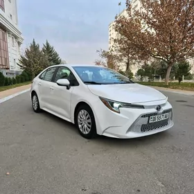 Toyota Corolla 2020