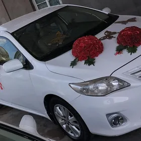 Toyota Corolla 2009