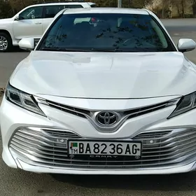 Toyota Camry 2019