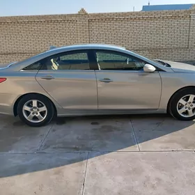 Hyundai Sonata 2010