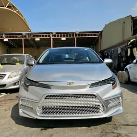 Toyota Corolla 2019