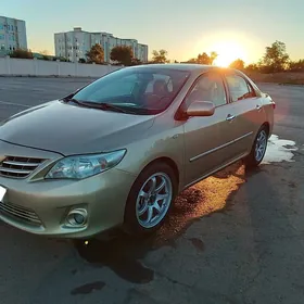 Toyota Corolla 2011