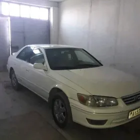 Toyota Camry 1999