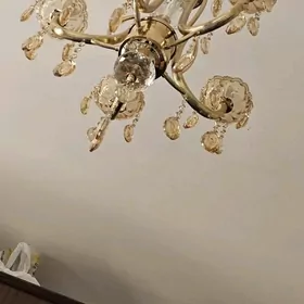 Lýustra