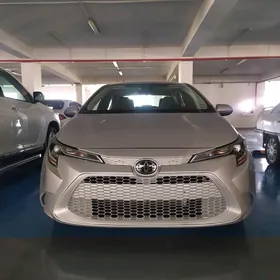 Toyota Corolla 2020