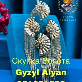 GYZYL KOMPLEKIT ALŸARYN