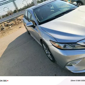 Toyota Camry 2019