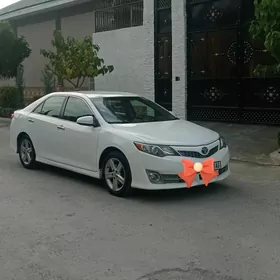 Toyota Camry 2013