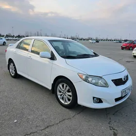 Toyota Corolla 2010