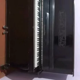 pianina