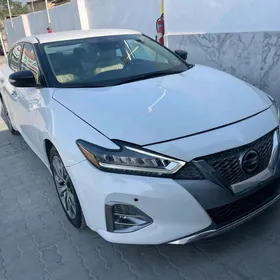 Nissan Maxima 2021