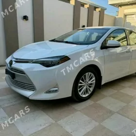 Toyota Corolla 2019