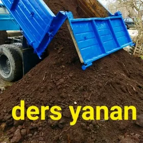 DERS YANAN GUM НАВОЗ ПИСОК Гум