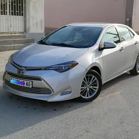 Toyota Corolla 2017