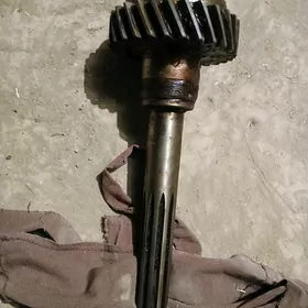 kurre mazyñ perwişni waly