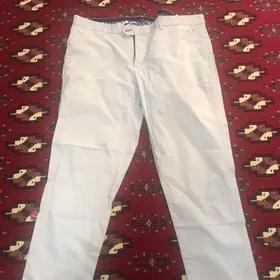Gabbiacci