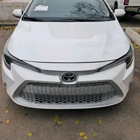 Toyota Corolla 2020