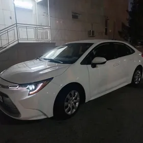 Toyota Corolla 2021