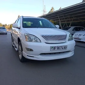 Lexus RX 330 2004