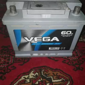 Akumlyator VEGA