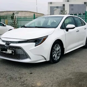 Toyota Corolla 2020