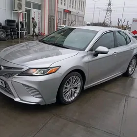 Toyota Camry 2020