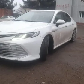 Toyota Camry 2019