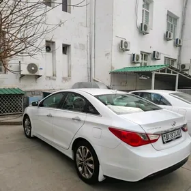 Hyundai Sonata 2010