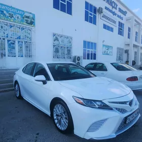 Toyota Camry 2019