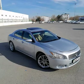 Nissan Maxima 2010