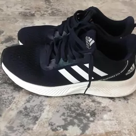 krasoga  adidas