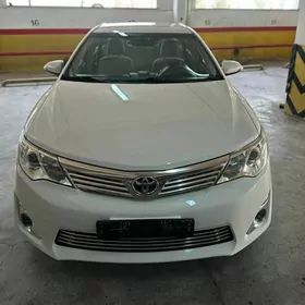 Toyota Camry 2013