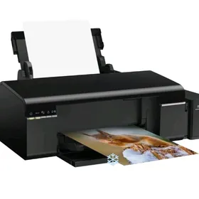 Satlyk printer Epson