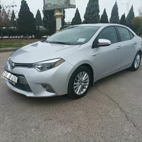 Toyota Corolla 2014