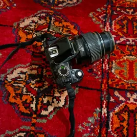 Nikon 3100