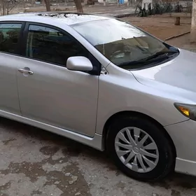 Toyota Corolla 2010