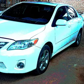 Toyota Corolla 2013