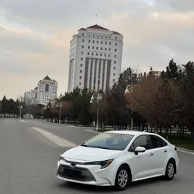 Toyota Corolla 2021