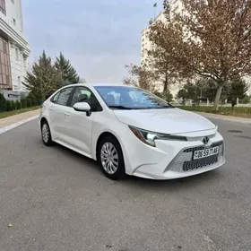 Toyota Corolla 2020