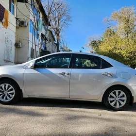 Toyota Corolla 2014