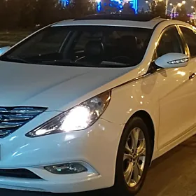 Hyundai Sonata 2010