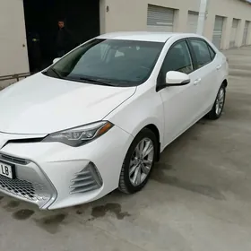 Toyota Corolla 2017