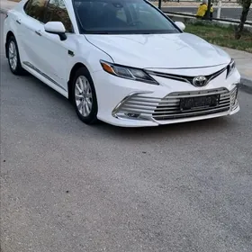 Toyota Camry 2020