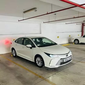 Toyota Corolla 2021