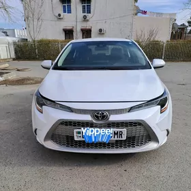 Toyota Corolla 2020