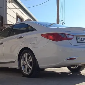 Hyundai Sonata 2010