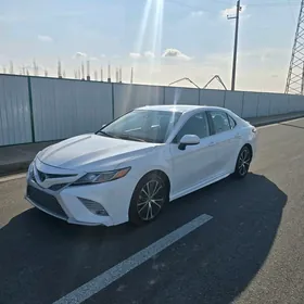 Toyota Camry 2019